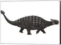 Framed Ankylosaurus, an armored dinosaur from the Cretaceous Period