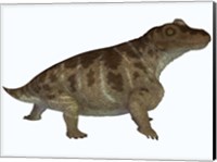 Framed Keratocephalus, a semi-aquatic dinosaur from the Permian Age