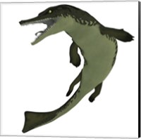 Framed Metriorhynchus, an extinct genus of crocodyliform from the Jurassic Period