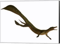 Framed Mesosaurus, an aquatic reptile from the Early Permian period