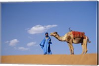 Framed Man leading camel on sand dunes, Tinfou (near Zagora), Morocco, Africa