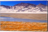 Framed Landscape of Mt Kunlun and Karakuli Lake, Silk Road, China