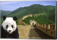 Framed Panda at the Great Wall of China