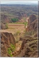 Framed Shepard, Yellow Valley cliff, Taigu, Shanxi, China