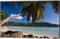 Framed Seychelles, Mahe Island, Anse a la Mouche