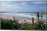 Framed Stretches of Beach, Jeffrey's Bay, South Africa