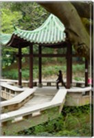 Framed Tai Chi Chuan in the Chinese Garden Pavilion at Kowloon Park, Hong Kong, China
