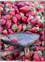 Framed Strawberries for sale in Fes medina, Morocco