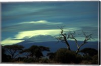 Framed Summit of Mount Kilimanjaro, Amboseli National Park, Kenya
