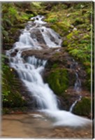 Framed Waterfall, Bhutan