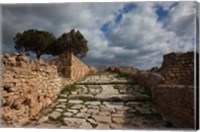 Framed Tunisia, Carthage, Roman Villas, Ancient Architecture