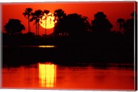 Framed Tropical Sunset in North Central Botswana