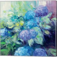 Framed Bright Hydrangea III