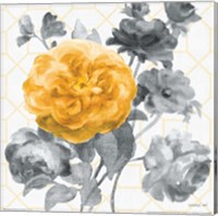 Framed Geometric Watercolor Floral II