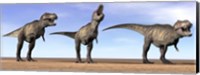 Framed Three Tyrannosaurus Rex dinosaurs standing in the desert