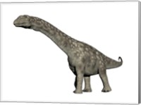 Framed Argentinosaurus dinosaur, white background