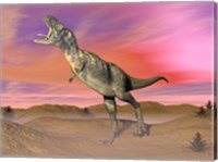 Framed Aucasaurus dinosaur roaring in the desert by sunset