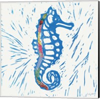 Framed 'Sea Creature Sea Horse Color' border=