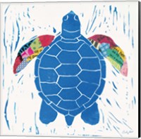 Framed 'Sea Creature Turtle Color' border=