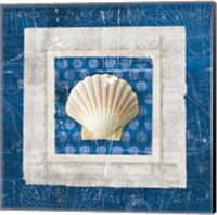 Framed Sea Shell III on Blue