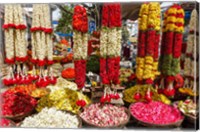 Framed Flower Shop, Southern India