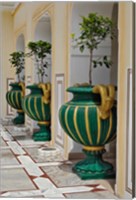 Framed Plant Pots, Raj Palace Hotel, Jaipur, India