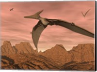 Framed Three pteranodon dinosaurs flying above rocky landscape