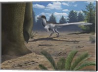 Framed deinonychosaur leaves tracks across a Cretaceous China landscape