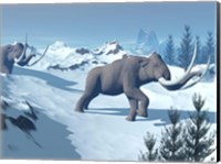 Framed Two large mammoths walking slowly on the snowy mountain