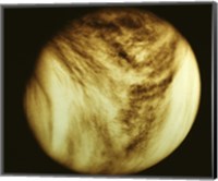 Framed Venus - tan