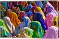 Framed Women in colorful saris, Jhalawar, Rajasthan, India