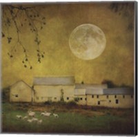 Framed Sheep Under a Harvest Moon