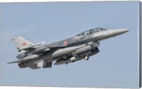 Framed Turkish-built F-16, Izmir Air Show in Turkey