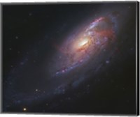 Framed Spiral Galaxy in Canes Venatici