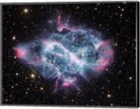 Framed Planetary Nebula in Musca