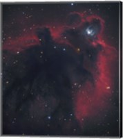 Framed Cometary Globule in Orion