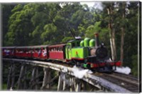 Framed Puffing Billy Steam Train, Dandenong Ranges, near Melbourne, Victoria, Australia