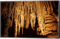 Framed Stalactites, Newdegate Cave, Hastings Caves, Australia