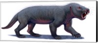 Framed Kayentatherium, a Mammal-like Tritylodont of the Jurassic Period