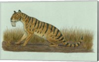Framed Thylacosmilus Atrox