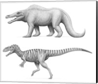 Framed Megalosaurus Bucklandii, Past and Present