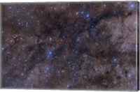 Framed Dark Nebula Complex LDN 1003