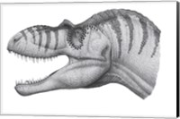 Framed Headshot of an Albertosaurus Sarcophagus