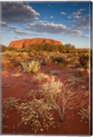 Framed Australia, Uluru-Kata Tjuta NP, Red desert, Ayers Rock