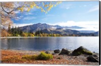 Framed Glendhu Bay, Lake Wanaka, Otago, South Island, New Zealand