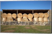 Framed Hay Barn, Ahuriri Valley, North Otago, South Island, New Zealand