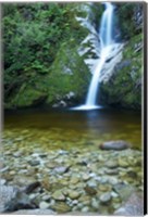 Framed Dorothy Falls, Lake Kaniere, South Island, New Zealand