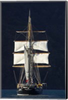 Framed Spirit of New Zealand Tall Ship, Marlborough Sounds, South Island, New Zealand