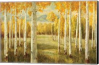 Framed Aspens