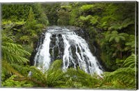 Framed Owharoa Falls, Karangahake Gorge, Waikato, North Island, New Zealand